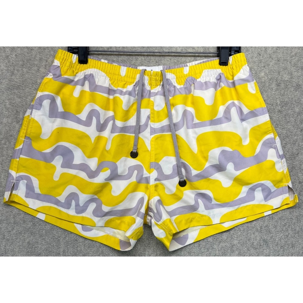 TIMO TRUNKS Mens Swim Trunks Multicolor Wavy Abstract Pattern Mesh Lining 34